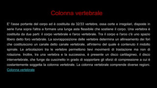 Colonna vertebrale
E' l'asse portante del corpo ed è costituita da 32/33 vertebre, ossa corte e irregolari, disposte in
serie l'una sopra l'altra a formare una lunga asta flessibile che sostiene il corpo. Una vertebra è
costituita da due parti: il corpo vertebrale e l'arco vertebrale. Tra il corpo e l'arco c'è uno spazio
libero detto foro vertebrale. La sovrapposizione delle vertebre determina un allineamento dei fori
che costituiscono un canale detto canale vertebrale, all'interno del quale è contenuto il midollo
spinale. Le articolazioni tra le vertebre permettono lievi movimenti di traslazione ma non di
rotazione. Inoltre, tra una vertebra e la successiva, è presente un disco cartilagineo, il disco
intervertebrale, che funge da cuscinetto in grado di sopportare gli sforzi di compressione a cui è
costantemente soggetta la colonna vertebrale. La colonna vertebrale comprende diverse regioni.
Colonna vertebrale
 