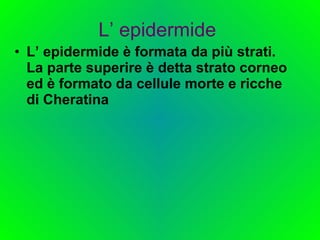 L’ epidermide   L’ epidermide è formata da più strati. La parte superire è detta strato corneo ed è formato da cellule morte e ricche di Cheratina  
