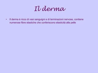 Il derma Il derma è ricco di vasi sanguigni e di terminazioni nervose, contiene numerose fibre elastiche che conferiscono elasticità alla pelle   