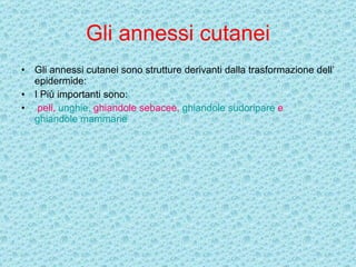 Gli annessi cutanei Gli annessi cutanei sono strutture derivanti dalla trasformazione dell’ epidermide: I Più importanti sono:  peli,  unghie,  ghiandole sebacee ,  ghiandole sudoripare  e  ghiandole mammarie 