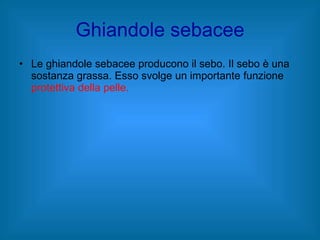 Ghiandole sebacee Le ghiandole sebacee producono il sebo. Il sebo è una sostanza grassa. Esso svolge un importante funzione  protettiva della pelle. 