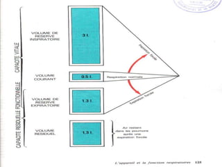Anatomie physiologie / A.S. 103
 