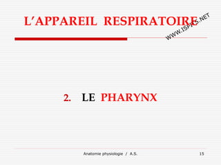 L’APPAREIL RESPIRATOIRE
2. LE PHARYNX
Anatomie physiologie / A.S. 15
 