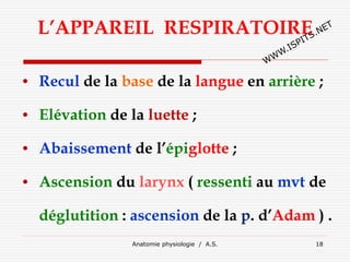 Anatomie physiologie / A.S. 18
L’APPAREIL RESPIRATOIRE
• Recul de la base de la langue en arrière ;
• Elévation de la luette ;
• Abaissement de l’épiglotte ;
• Ascension du larynx ( ressenti au mvt de
déglutition : ascension de la p. d’Adam ) .
 