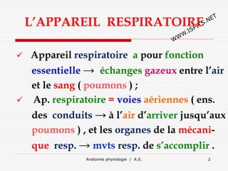 L’APPAREIL RESPIRATOIRE
 Appareil respiratoire a pour fonction
essentielle → échanges gazeux entre l’air
et le sang ( poumons ) ;
 Ap. respiratoire = voies aériennes ( ens.
des conduits → à l’air d’arriver jusqu’aux
poumons ) , et les organes de la mécani-
que resp. → mvts resp. de s’accomplir .
Anatomie physiologie / A.S. 2
 