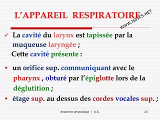 Anatomie physiologie / A.S. 23
L’APPAREIL RESPIRATOIRE
 La cavité du larynx est tapissée par la
muqueuse laryngée ;
Cette cavité présente :
• un orifice sup. communiquant avec le
pharynx , obturé par l’épiglotte lors de la
déglutition ;
• étage sup. au dessus des cordes vocales sup. ;
 
