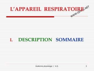 L’APPAREIL RESPIRATOIRE
I. DESCRIPTION SOMMAIRE
Anatomie physiologie / A.S. 3
 