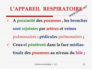 L’APPAREIL RESPIRATOIRE
 A proximité des poumons , les bronches
sont rejointes par artères et veines
pulmonaires : pédicules pulmonaires ;
 Ceux-ci pénètrent dans la face médias-
tinale des poumons au niveau du hile ;
Anatomie physiologie / A.S. 35
 