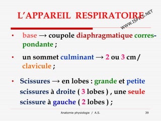 L’APPAREIL RESPIRATOIRE
• base → coupole diaphragmatique corres-
pondante ;
• un sommet culminant → 2 ou 3 cm /
clavicule ;
• Scissures → en lobes : grande et petite
scissures à droite ( 3 lobes ) , une seule
scissure à gauche ( 2 lobes ) ;
Anatomie physiologie / A.S. 39
 