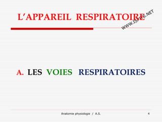L’APPAREIL RESPIRATOIRE
A. LES VOIES RESPIRATOIRES
Anatomie physiologie / A.S. 4
 