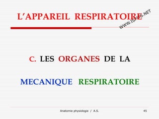 L’APPAREIL RESPIRATOIRE
C. LES ORGANES DE LA
MECANIQUE RESPIRATOIRE
Anatomie physiologie / A.S. 45
 