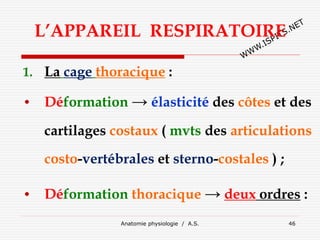 L’APPAREIL RESPIRATOIRE
1. La cage thoracique :
• Déformation → élasticité des côtes et des
cartilages costaux ( mvts des articulations
costo-vertébrales et sterno-costales ) ;
• Déformation thoracique → deux ordres :
Anatomie physiologie / A.S. 46
 