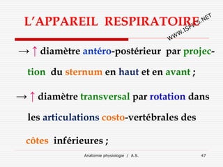 L’APPAREIL RESPIRATOIRE
→ ↑ diamètre antéro-postérieur par projec-
tion du sternum en haut et en avant ;
→ ↑ diamètre transversal par rotation dans
les articulations costo-vertébrales des
côtes inférieures ;
Anatomie physiologie / A.S. 47
 