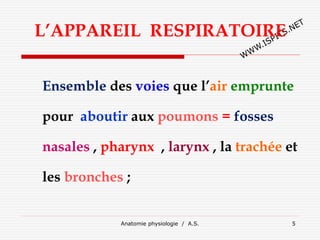 Anatomie physiologie / A.S. 5
L’APPAREIL RESPIRATOIRE
Ensemble des voies que l’air emprunte
pour aboutir aux poumons = fosses
nasales , pharynx , larynx , la trachée et
les bronches ;
 