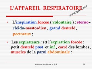 L’APPAREIL RESPIRATOIRE
• L’inspiration forcée ( volontaire ) : sterno–
cléido-mastoïdien , grand dentelé ,
pectoraux ;
• Les expirateurs : stt l’expiration forcée :
petit dentelé post et inf , carré des lombes ,
muscles de la paroi abdominale ;
Anatomie physiologie / A.S. 51
 
