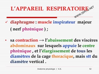 L’APPAREIL RESPIRATOIRE
 diaphragme : muscle inspirateur majeur
( nerf phrénique ) ;
• sa contraction → l’abaissement des viscères
abdominaux sur lesquels appuie le centre
phrénique , et l’élargissement de tous les
diamètres de la cage thoracique, mais stt du
diamètre vertical .
Anatomie physiologie / A.S. 52
 