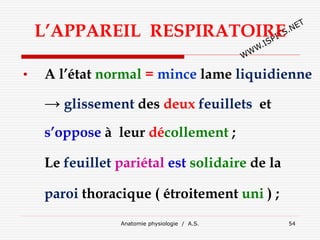 L’APPAREIL RESPIRATOIRE
• A l’état normal = mince lame liquidienne
→ glissement des deux feuillets et
s’oppose à leur décollement ;
Le feuillet pariétal est solidaire de la
paroi thoracique ( étroitement uni ) ;
Anatomie physiologie / A.S. 54
 