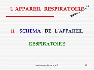 L’APPAREIL RESPIRATOIRE
II. SCHEMA DE L’APPAREIL
RESPIRATOIRE
Anatomie physiologie / A.S. 56
 
