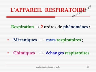 L’APPAREIL RESPIRATOIRE
Respiration → 2 ordres de phénomènes :
• Mécaniques → mvts respiratoires ;
• Chimiques → échanges respiratoires .
Anatomie physiologie / A.S. 59
 