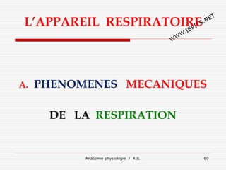 L’APPAREIL RESPIRATOIRE
A. PHENOMENES MECANIQUES
DE LA RESPIRATION
Anatomie physiologie / A.S. 60
 