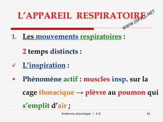 L’APPAREIL RESPIRATOIRE
1. Les mouvements respiratoires :
2 temps distincts :
 L’inspiration :
• Phénomène actif : muscles insp. sur la
cage thoracique → plèvre au poumon qui
s’emplit d’air ;
Anatomie physiologie / A.S. 61
 