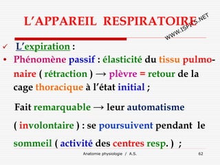 L’APPAREIL RESPIRATOIRE
 L’expiration :
• Phénomène passif : élasticité du tissu pulmo-
naire ( rétraction ) → plèvre = retour de la
cage thoracique à l’état initial ;
Fait remarquable → leur automatisme
( involontaire ) : se poursuivent pendant le
sommeil ( activité des centres resp. ) ;
Anatomie physiologie / A.S. 62
 