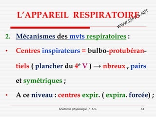 L’APPAREIL RESPIRATOIRE
2. Mécanismes des mvts respiratoires :
• Centres inspirateurs = bulbo-protubéran-
tiels ( plancher du 4è V ) → nbreux , pairs
et symétriques ;
• A ce niveau : centres expir. ( expira. forcée) ;
Anatomie physiologie / A.S. 63
 