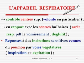 L’APPAREIL RESPIRATOIRE
→ contrôle centres sup. (volonté en particulier ) ;
→ en rapport avec les centres bulbaires ( arrêt
resp. pdt le vomissement , déglutit.) ;
• Réponses à des incitations sensitives venues
du poumon par voies végétatives
( inspiration ↔ expiration ) ;
Anatomie physiologie / A.S. 65
 