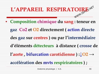 L’APPAREIL RESPIRATOIRE
• Composition chimique du sang : teneur en
gaz Co2 et O2 directement ( action directe
des gaz sur centres ) ou par l’intermédiaire
d’éléments détecteurs à distance ( crosse de
l’aorte , bifurcation carotidienne ) :↓O2 →
accélération des mvts respiriratoires ) ;
Anatomie physiologie / A.S. 66
 