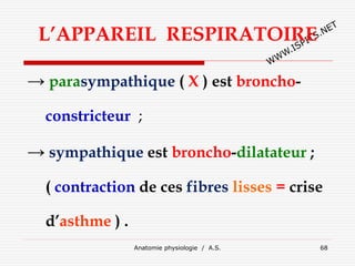L’APPAREIL RESPIRATOIRE
→ parasympathique ( X ) est broncho-
constricteur ;
→ sympathique est broncho-dilatateur ;
( contraction de ces fibres lisses = crise
d’asthme ) .
Anatomie physiologie / A.S. 68
 