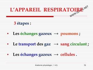 L’APPAREIL RESPIRATOIRE
3 étapes :
• Les échanges gazeux → poumons ;
• Le transport des gaz → sang circulant ;
• Les échanges gazeux → cellules .
Anatomie physiologie / A.S. 70
 