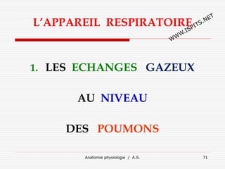 L’APPAREIL RESPIRATOIRE
1. LES ECHANGES GAZEUX
AU NIVEAU
DES POUMONS
Anatomie physiologie / A.S. 71
 