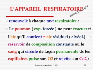 L’APPAREIL RESPIRATOIRE
→ renouvelé à chaque mvt respiratoire ;
→ Le poumon ( exp. forcée ) ne peut évacuer tt
l’air qu’il contient = air résiduel ( alvéol.) →
réservoir de composition constante où le
sang qui circule de façon permanente ds les
capillaires puise son O2 et rejette son Co2 ;
Anatomie physiologie / A.S. 73
 