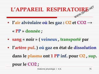 L’APPAREIL RESPIRATOIRE
• l’air alvéolaire où les gaz : O2 et CO2 →
« PP » donnée ;
• sang « noir » ( veineux , transporté par
• l’artère pul. ) où gaz en état de dissolution
dans le plasma ont 1 PP inf. pour O2 , sup.
pour le CO2 ;
Anatomie physiologie / A.S. 75
 