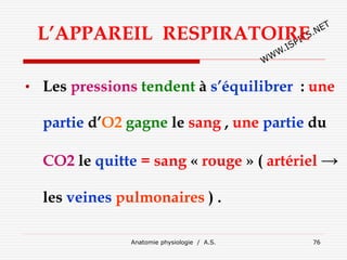 L’APPAREIL RESPIRATOIRE
• Les pressions tendent à s’équilibrer : une
partie d’O2 gagne le sang , une partie du
CO2 le quitte = sang « rouge » ( artériel →
les veines pulmonaires ) .
Anatomie physiologie / A.S. 76
 