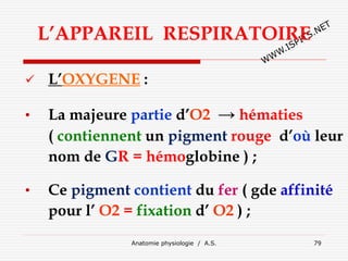 L’APPAREIL RESPIRATOIRE
 L’OXYGENE :
• La majeure partie d’O2 → hématies
( contiennent un pigment rouge d’où leur
nom de GR = hémoglobine ) ;
• Ce pigment contient du fer ( gde affinité
pour l’ O2 = fixation d’ O2 ) ;
Anatomie physiologie / A.S. 79
 