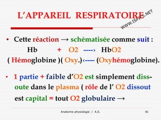 L’APPAREIL RESPIRATOIRE
• Cette réaction → schématisée comme suit :
Hb + O2 ----› HbO2
( Hémoglobine )( Oxy.)‹---- (Oxyhémoglobine).
• 1 partie + faible d’O2 est simplement diss-
oute dans le plasma ( rôle de l’ O2 dissout
est capital = tout O2 globulaire →
Anatomie physiologie / A.S. 81
 
