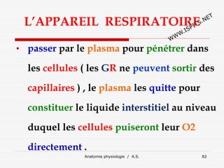 L’APPAREIL RESPIRATOIRE
• passer par le plasma pour pénétrer dans
les cellules ( les GR ne peuvent sortir des
capillaires ) , le plasma les quitte pour
constituer le liquide interstitiel au niveau
duquel les cellules puiseront leur O2
directement .
Anatomie physiologie / A.S. 82
 