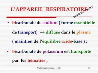 L’APPAREIL RESPIRATOIRE
• bicarbonate de sodium ( forme essentielle
de transport) → diffuse dans le plasma
( maintien de l’équilibre acide-base ) ;
• bicarbonate de potassium est transporté
par les hématies ;
Anatomie physiologie / A.S. 85
 