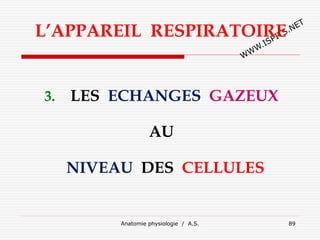 Anatomie physiologie / A.S. 89
L’APPAREIL RESPIRATOIRE
3. LES ECHANGES GAZEUX
AU
NIVEAU DES CELLULES
 