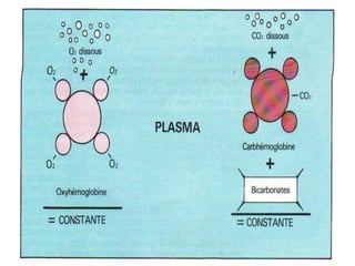 Anatomie physiologie / A.S. 98
L’APPAREIL RESPIRATOIRE
 