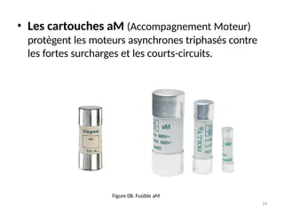• Les cartouches aM (Accompagnement Moteur)
protègent les moteurs asynchrones triphasés contre
les fortes surcharges et les courts-circuits.
Figure 08: Fusible aM
14
 