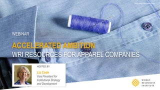 WEBINAR
ACCELERATED AMBITION
WRI RESOURCES FOR APPAREL COMPANIES
Photo credit: Flickr/Marco Verch
HOSTED BY
Liz Cook
Vice President for
Institutional Strategy
and Development
 