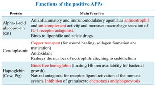 Protein Main function
Alpha-1-acid
glycoprotein
(cat)
Antiinflammatory and immunomodulatory agent: has antineutrophil
and anticomplement activity and increases macrophage secretion of
IL-1 receptor antagonist.
Binds to lipophilic and acidic drugs.
Ceruloplasmin
Copper transport (for wound healing, collagen formation and
maturation)
Antioxidant
Reduces the number of neutrophils attaching to endothelium
Haptoglobin
(Cow, Pig)
Binds free hemoglobin (limiting Hb iron availability for bacterial
growth)
Natural antagonist for receptor-ligand activation of the immune
system. Inhibition of granulocyte chemotaxis and phagocytosis
Functions of the positive APPs
 