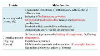 Protein Main function
Serum amyloid A
(Horse, pig)
Chemotactic recruitment of inflammatory cells to sites of
inflammation
Induction of inflammatory cytokines
Inhibition of myeloperoxidase release and lymphocyte
proliferation
Involved in lipid metabolism and transport
immunomodulatory (via the inflammasome)
C-reactive protein
(Dog, Pig,
Human)
On bacteria, it promotes the binding of complement, facilitating
phagocytosis.
Induction of cytokines
Inhibition of chemotaxis and modulation of neutrophil function
Neutralizes deleterious effects of histones
 