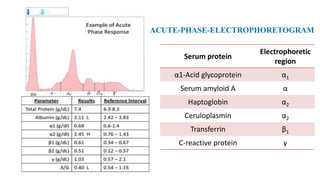 Acute-phase-electrophoretogram
ACUTE-PHASE-ELECTROPHORETOGRAM
Serum protein
Electrophoretic
region
α1-Acid glycoprotein α1
Serum amyloid A α
Haptoglobin α2
Ceruloplasmin α2
Transferrin β1
C-reactive protein γ
 