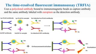 The time-resolved fluorescent immunoassay (TRFIA)
Uses a polyclonal antibody bound to immunomagnetic beads as capture antibody
and the same antibody labeled with europium as the detection antibody
 