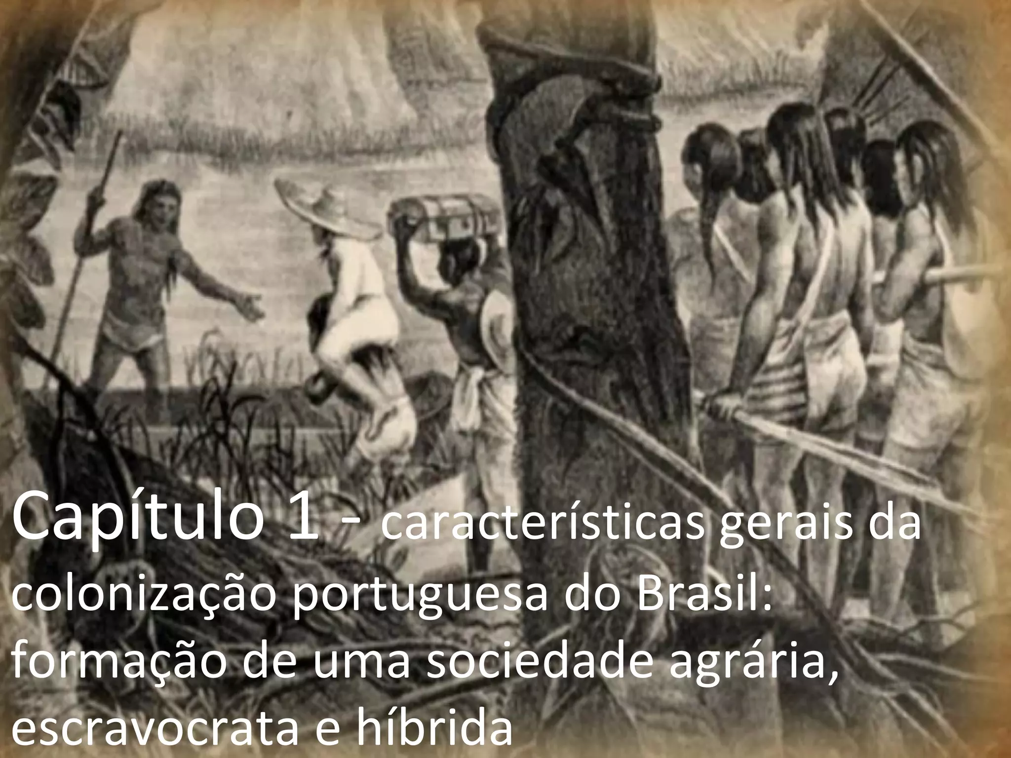 Capítulo 1 -  características gerais da colonização portuguesa do Brasil: formação de uma sociedade agrária, escravocrata e híbrida  