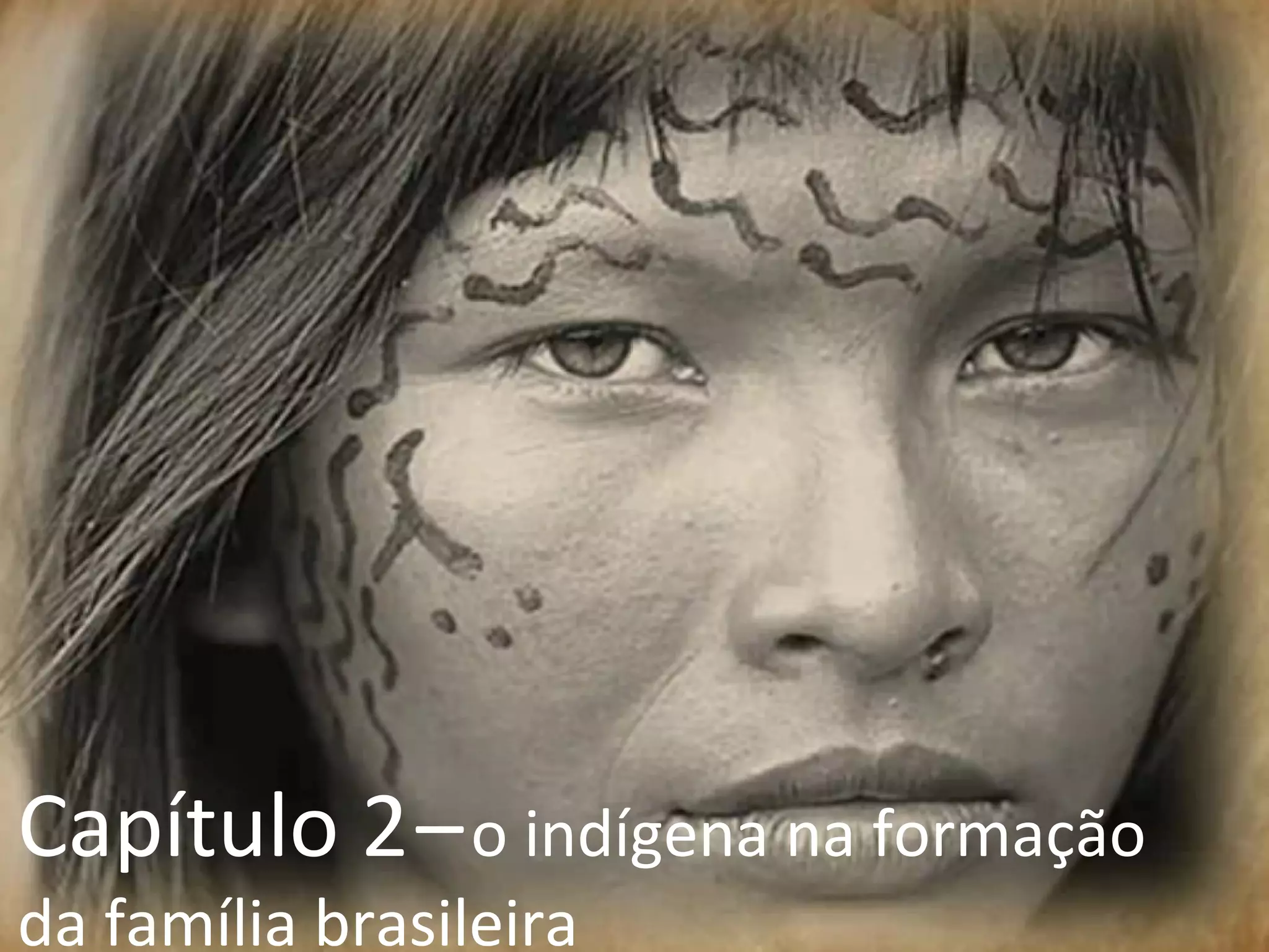 Capítulo 2   –   o indígena na formação da família brasileira 