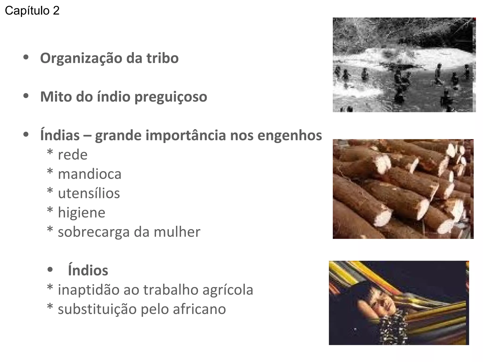 Organização da tribo Mito do índio preguiçoso Índias – grande importância nos engenhos * rede * mandioca * utensílios * higiene * sobrecarga da mulher Índios * inaptidão ao trabalho agrícola * substituição pelo africano Capítulo 2 